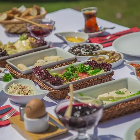 Tash Mekan Hotel