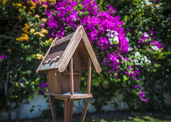 Tash Mekan Alaçatı